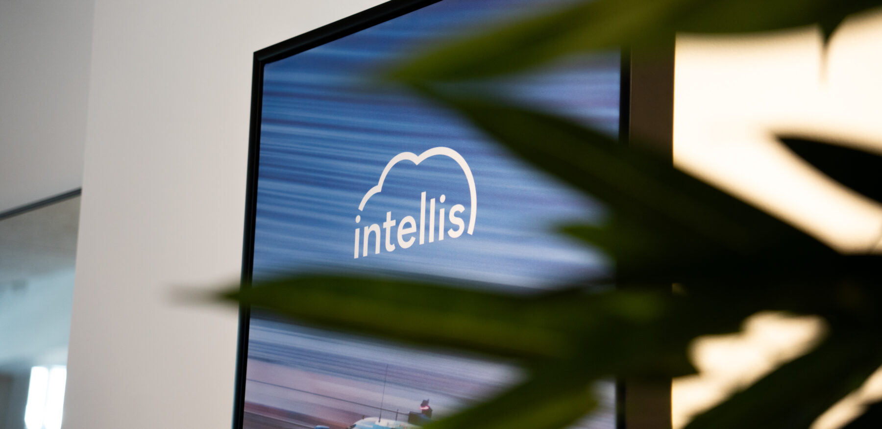 Intellis logo vist på et lærred i et moderne kontormiljø med grøn plante i forgrunden.