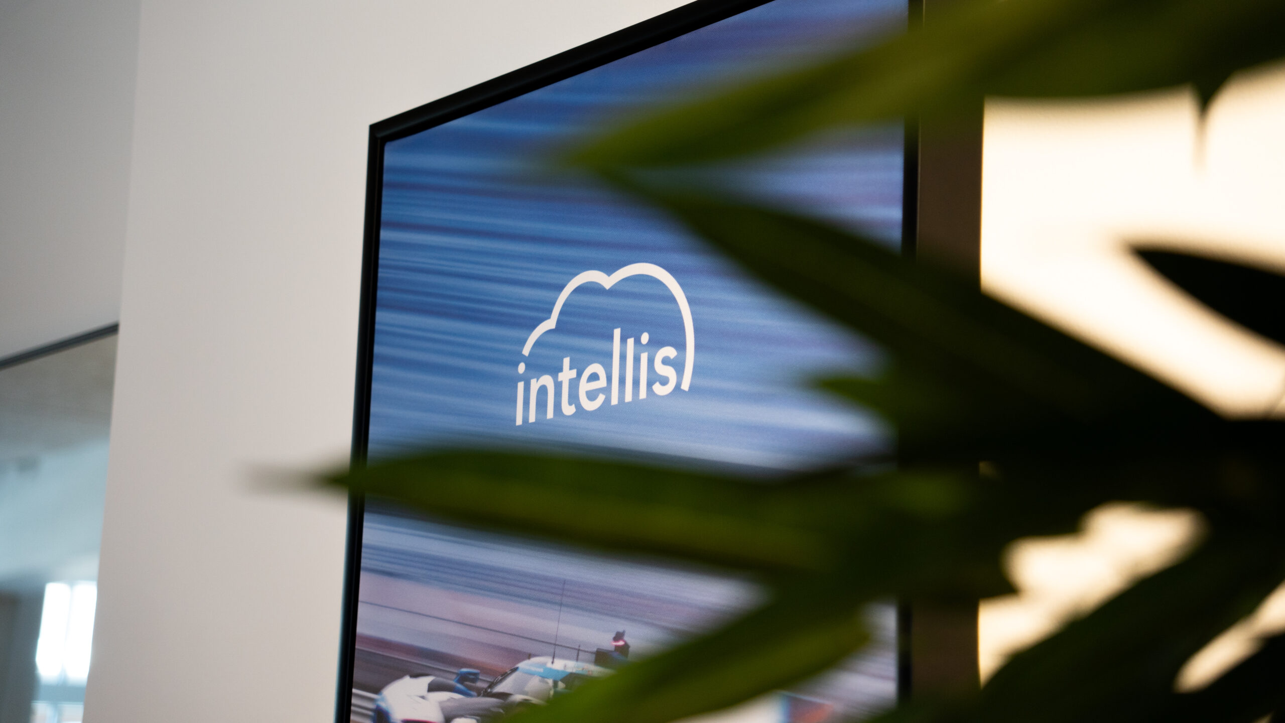 Intellis logo vist på et lærred i et moderne kontormiljø med grøn plante i forgrunden.